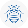 Bed Bug Extermination In Maesteg